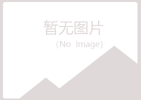 吉林晓夏能源有限公司